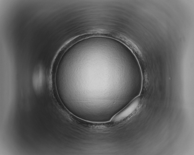 X0000102390784200808081226