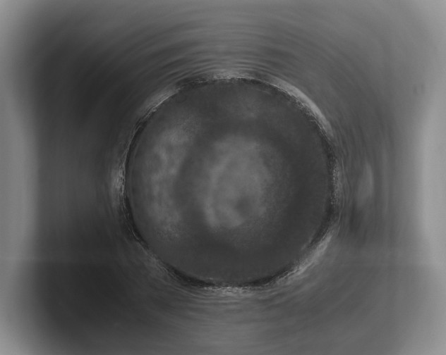 X0000102390785200808081226