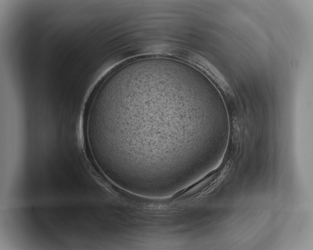 X0000102390788200808081226