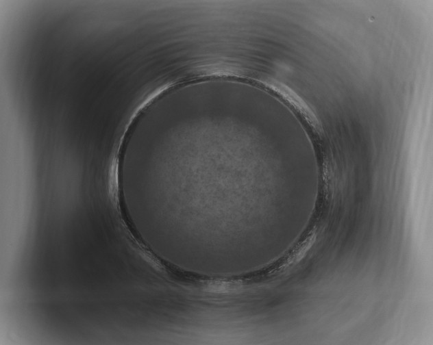 X0000102390790200808081226