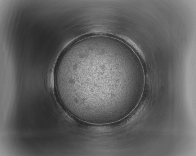 X0000102390791200808081226