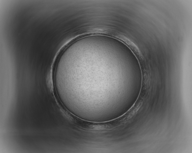 X0000102390792200808081226