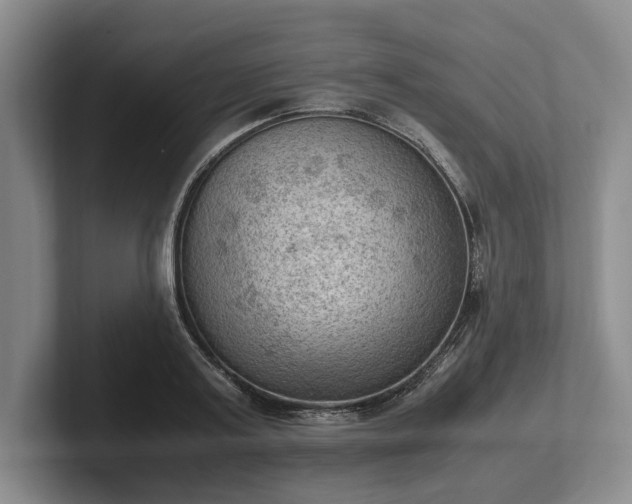 X0000102390795200808081226