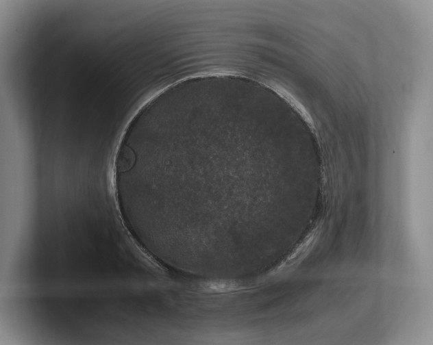 X0000102390797200808081226