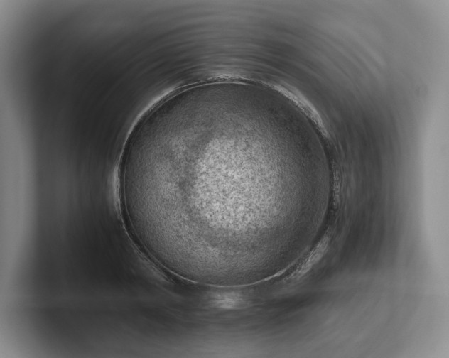 X0000102390798200808081226