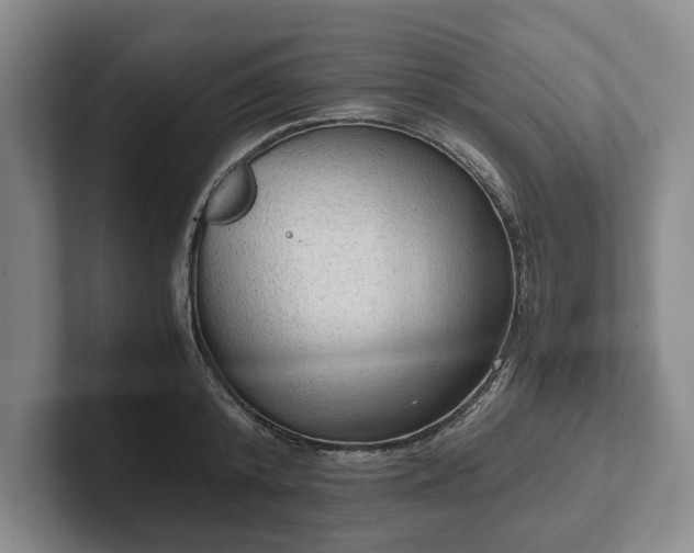 X0000102390800200808081226