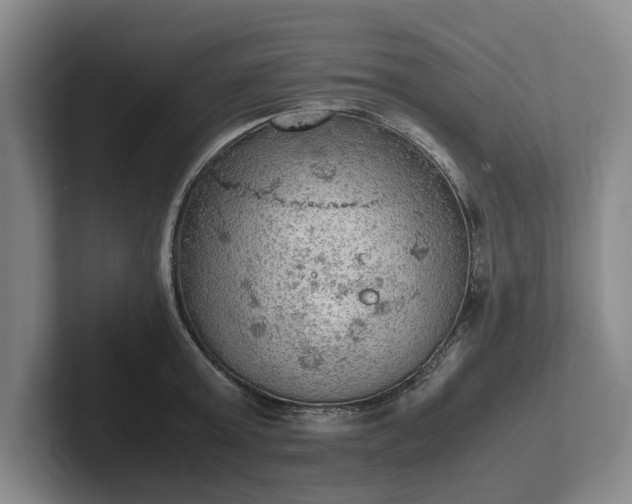 X0000102390803200808081226