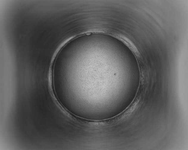 X0000102390804200808081226