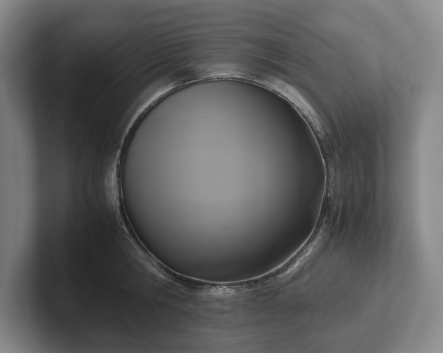 X0000102390806200808081226