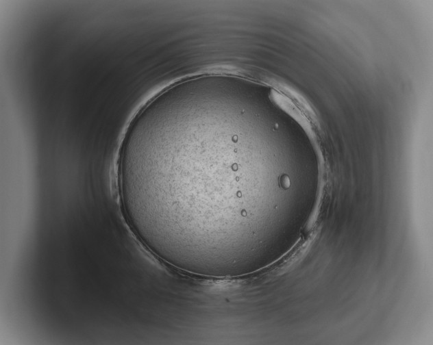 X0000102390808200808081226