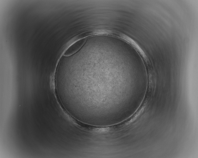 X0000102390810200808081226