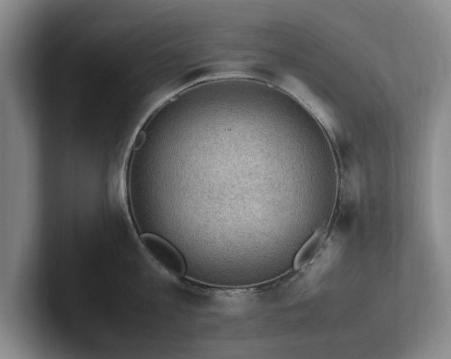 X0000102390813200808081226