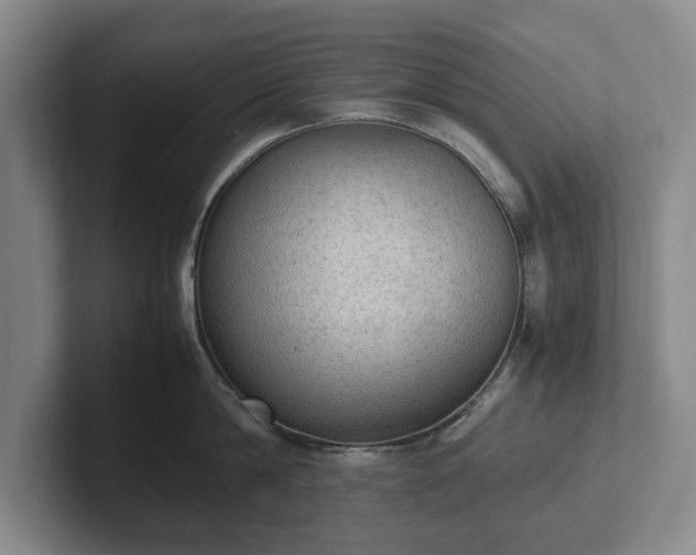 X0000102390814200808081226