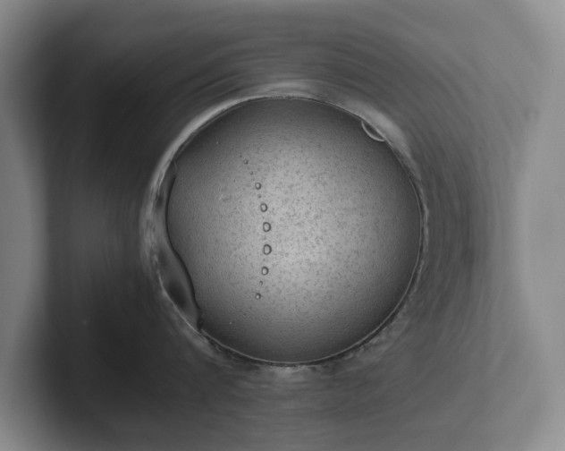 X0000102390816200808081226