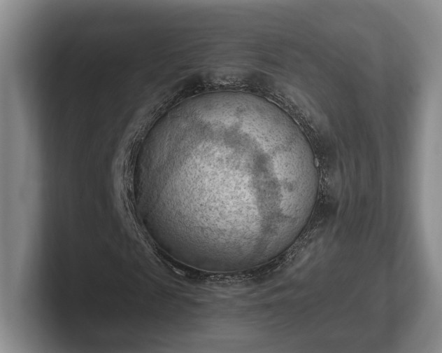 X0000102390817200808081225