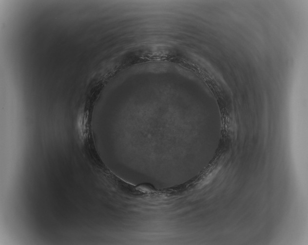 X0000102390818200808081225