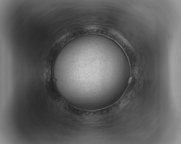 X0000102390821200808081225