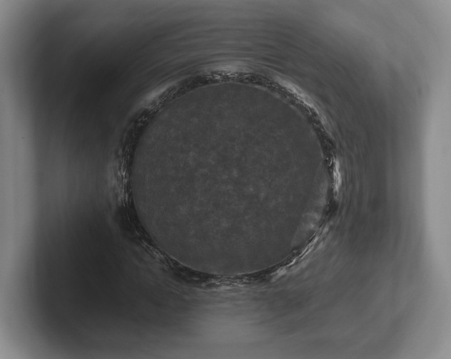 X0000102390822200808081225