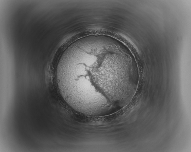 X0000102390823200808081225