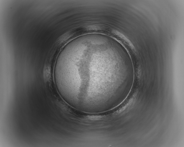 X0000102390825200808081225