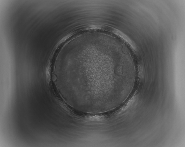 X0000102390826200808081225