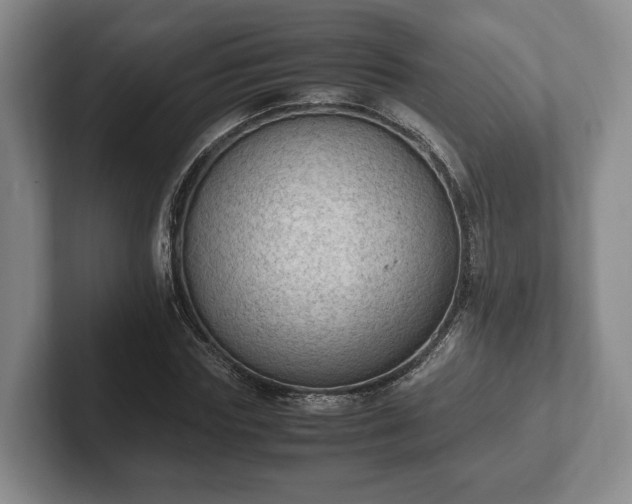 X0000102390827200808081225