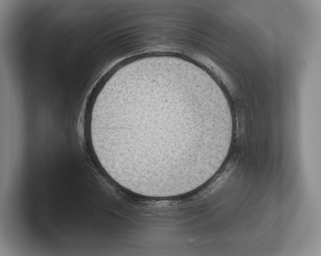 X0000102390828200808081225