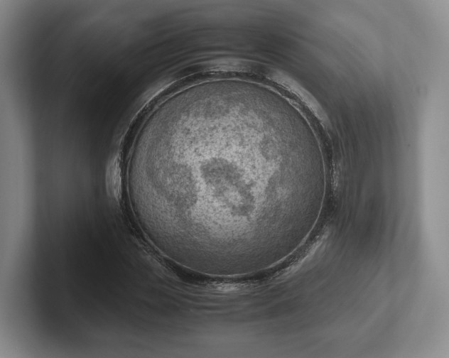 X0000102390829200808081225