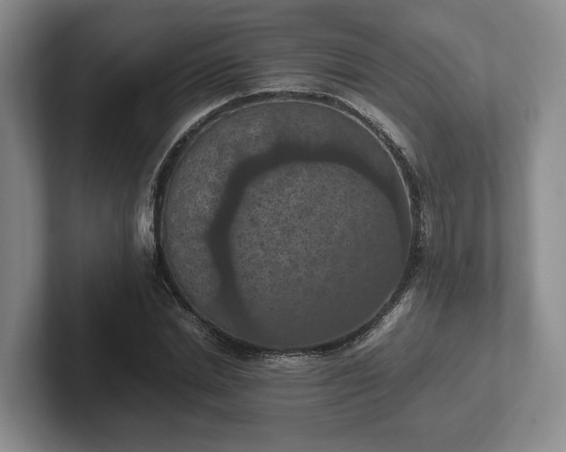 X0000102390830200808081225