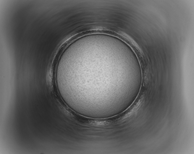 X0000102390831200808081225