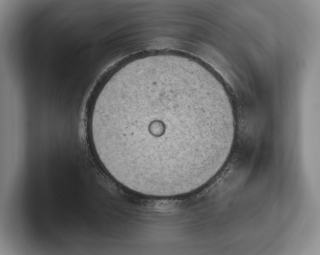 X0000102390832200808081225