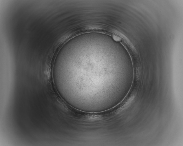 X0000102390833200808081225