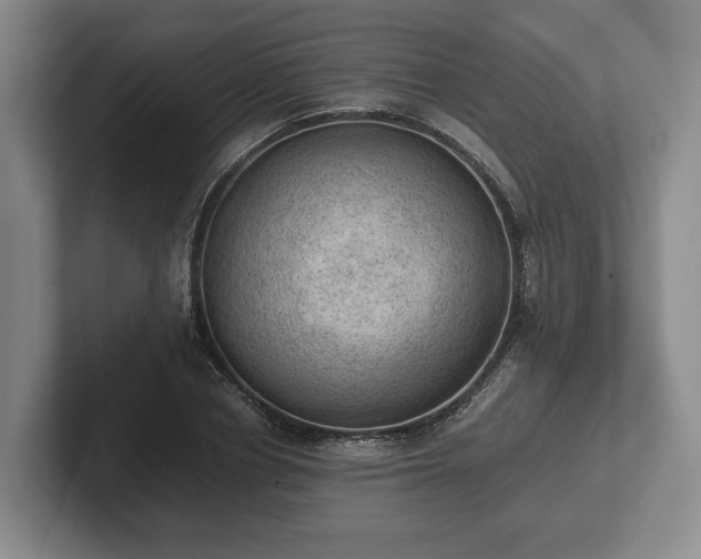 X0000102390834200808081225