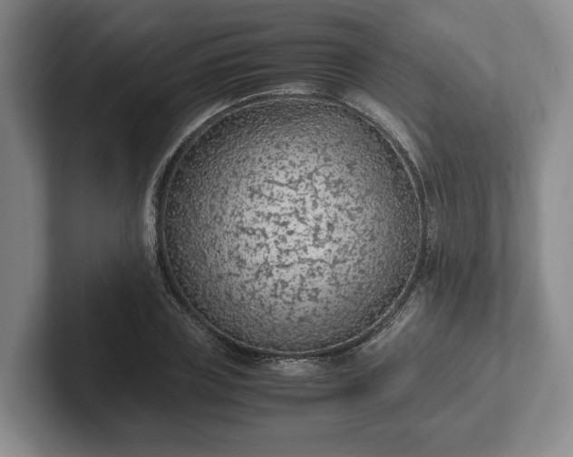 X0000102390835200808081225