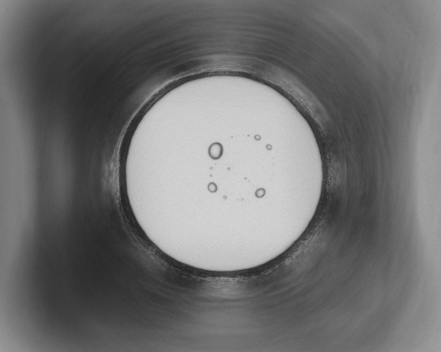 X0000102390836200808081225