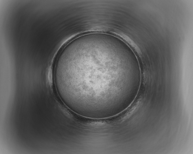 X0000102390838200808081225