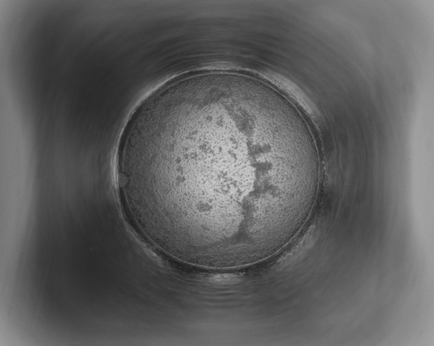 X0000102390839200808081225