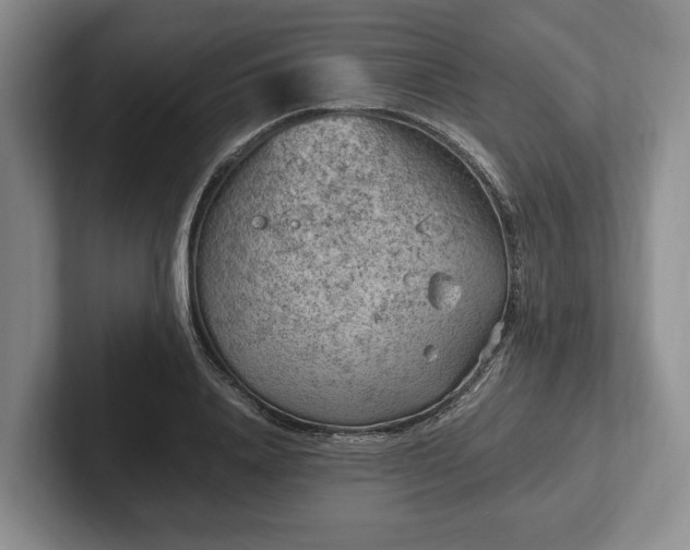 X0000102390840200808081225