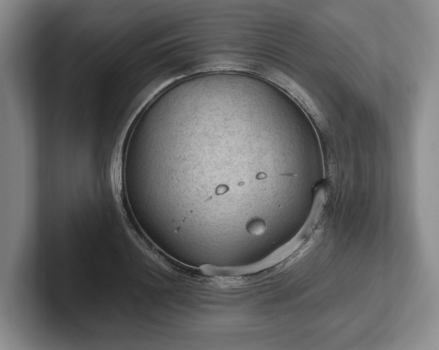 X0000102390844200808081226