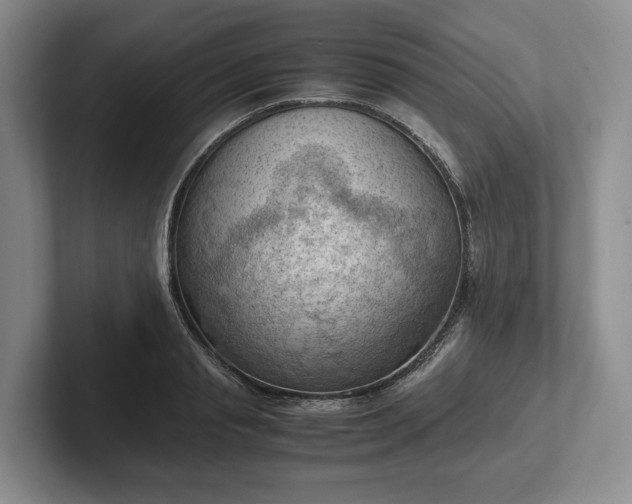 X0000102390845200808081226