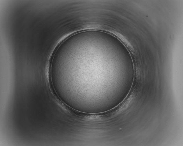 X0000102390846200808081226