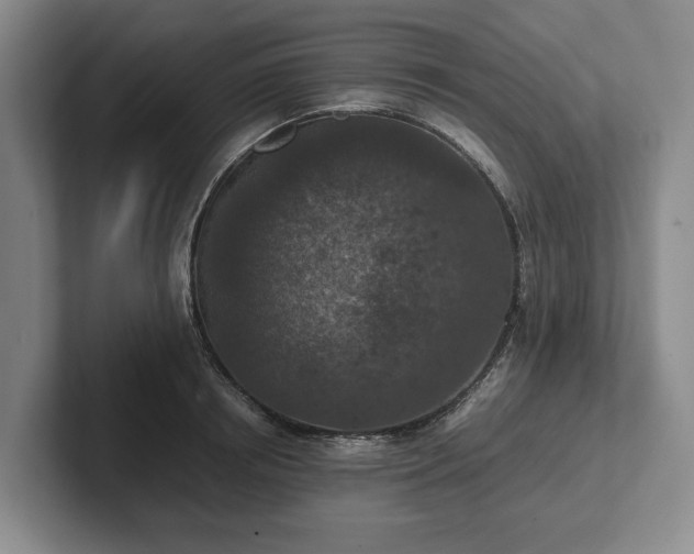 X0000102390850200808081226