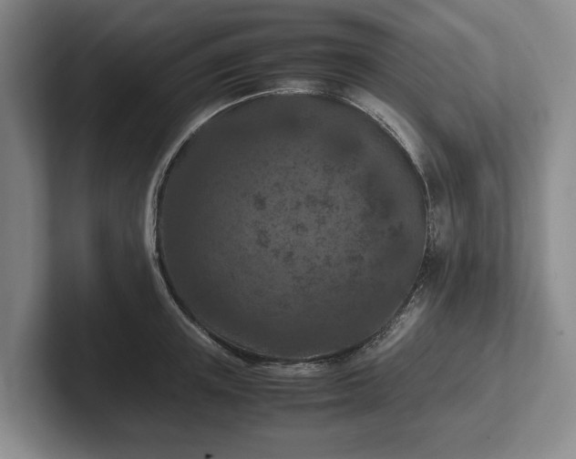 X0000102390851200808081226