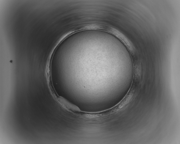 X0000102390852200808081226