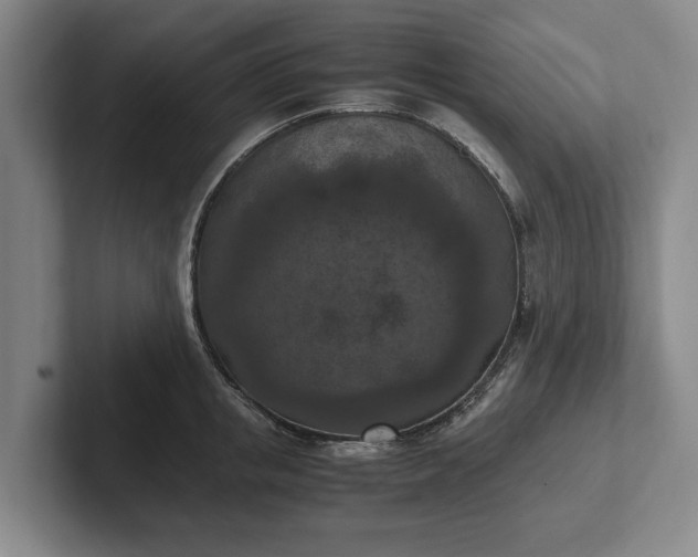 X0000102390853200808081226