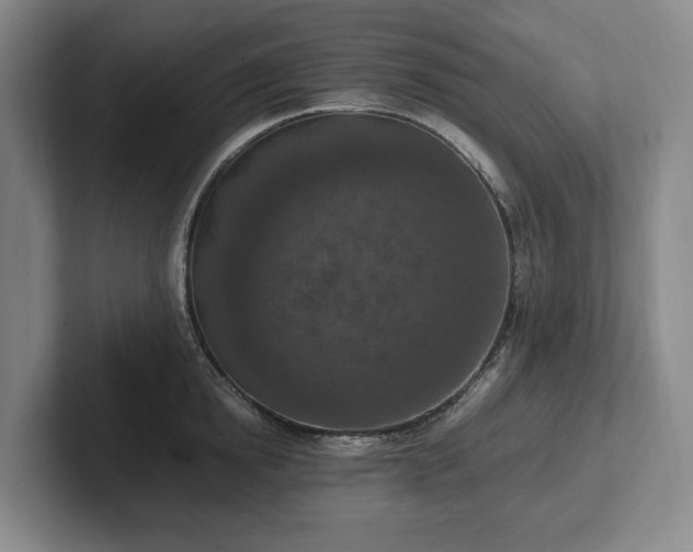 X0000102390854200808081226