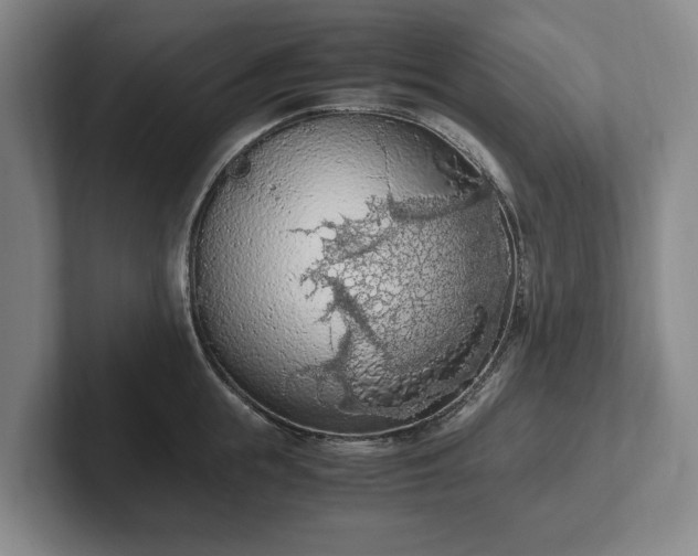 X0000102390855200808081226