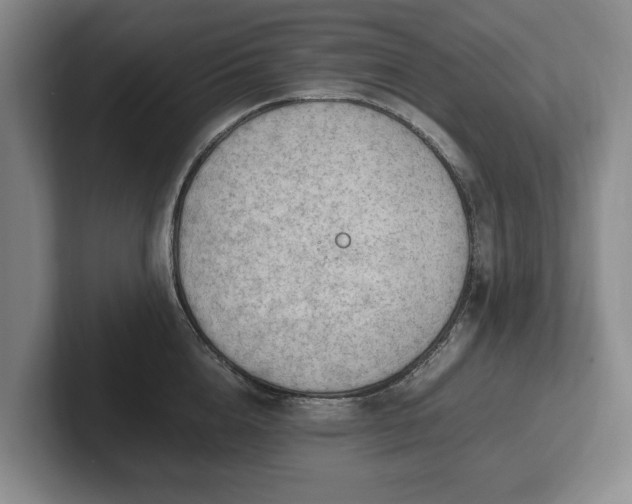 X0000102390856200808081226