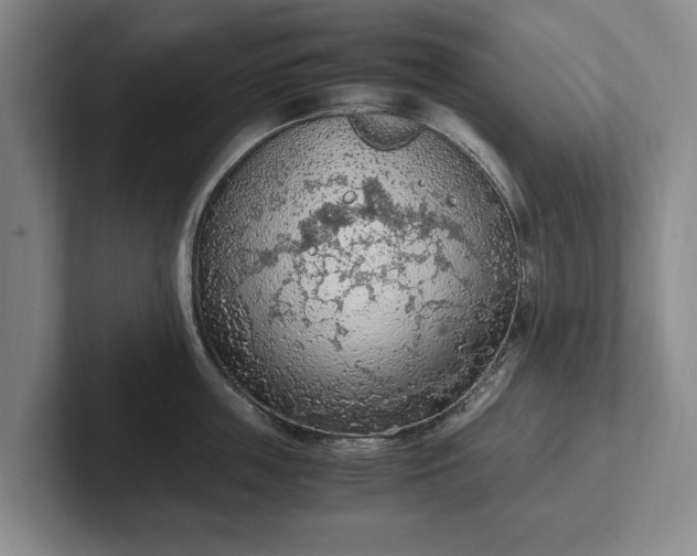 X0000102390859200808081226