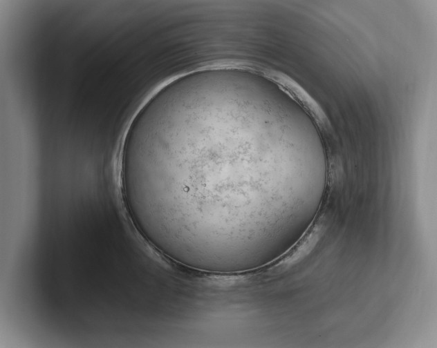 X0000102390860200808081226